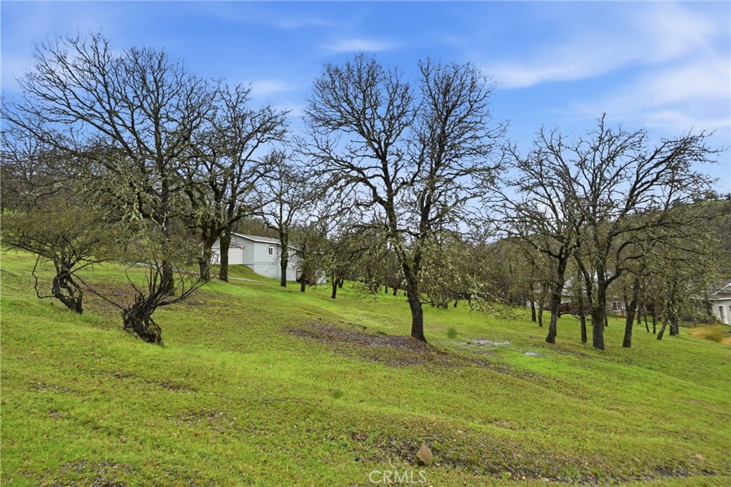19474 Donkey Hill Road Hidden Valley Lake, CA 95467 - Photo 34 of 38 a view of yard with trees