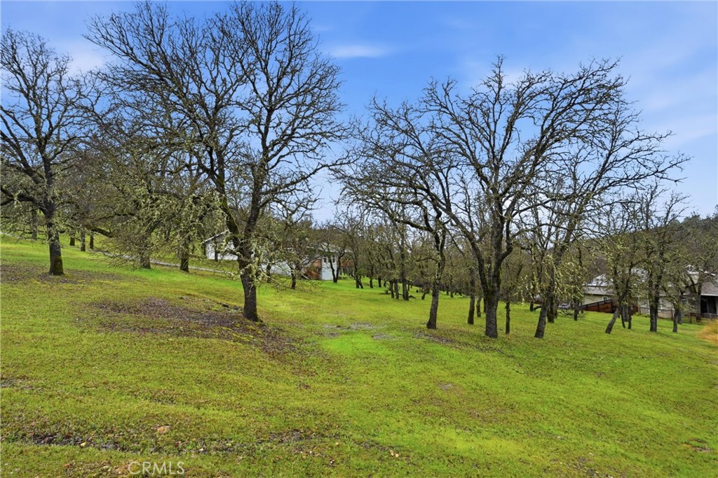 19474 Donkey Hill Road Hidden Valley Lake, CA 95467 - Photo 35 of 38 a view of park space