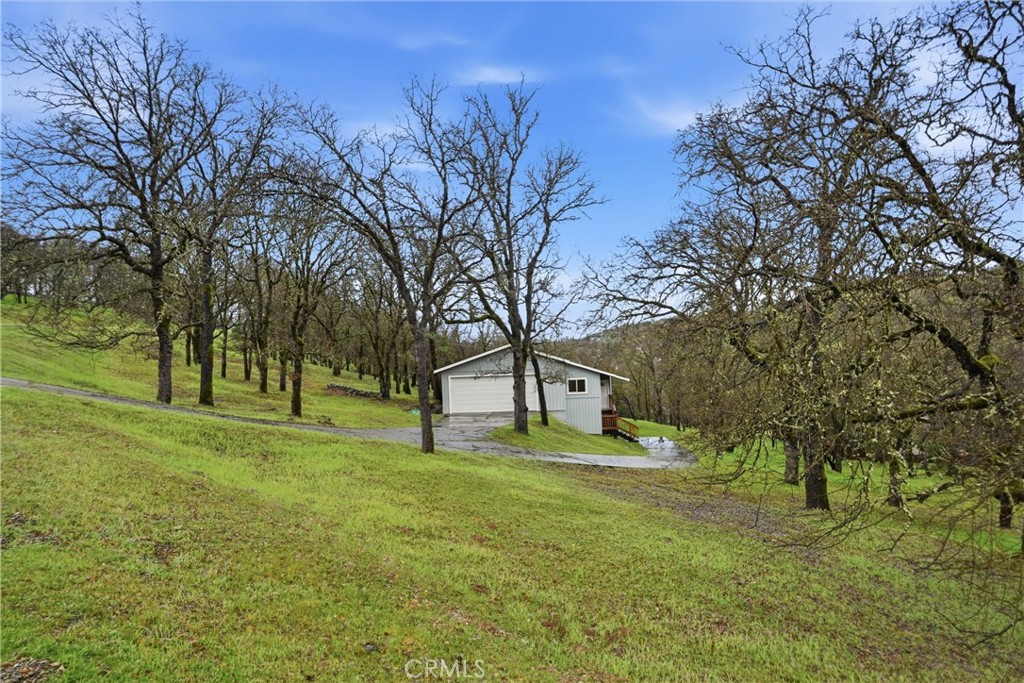 19474 Donkey Hill Road Hidden Valley Lake, CA 95467 - Photo 36 of 38 a view of a trees in a yard