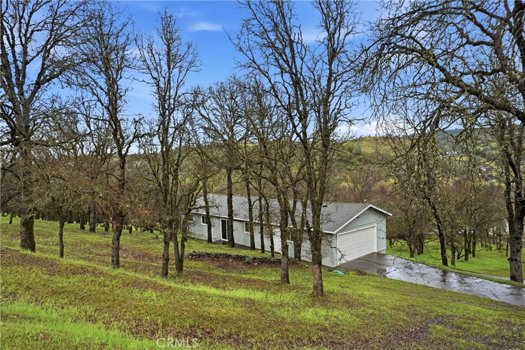 19474 Donkey Hill Road Hidden Valley Lake, CA 95467 - Photo 37 of 38 a view of a yard with plants and trees