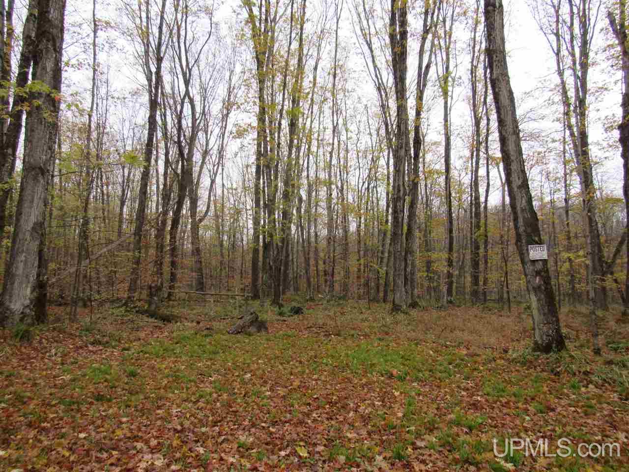 Tbd 160 Acres Camp 23 Road Gulliver, MI 49840 - Photo 26 of 48