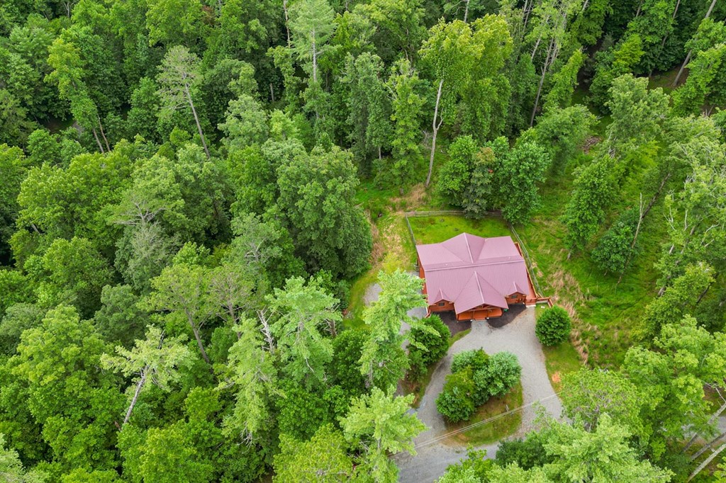 50 Tivoli Court Ellijay, GA 30540 - Photo 35 of 45