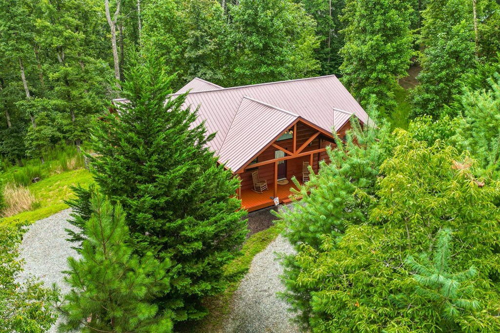 50 Tivoli Court Ellijay, GA 30540 - Photo 36 of 45