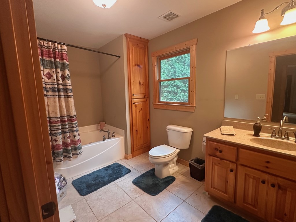 50 Tivoli Court Ellijay, GA 30540 - Photo 9 of 45