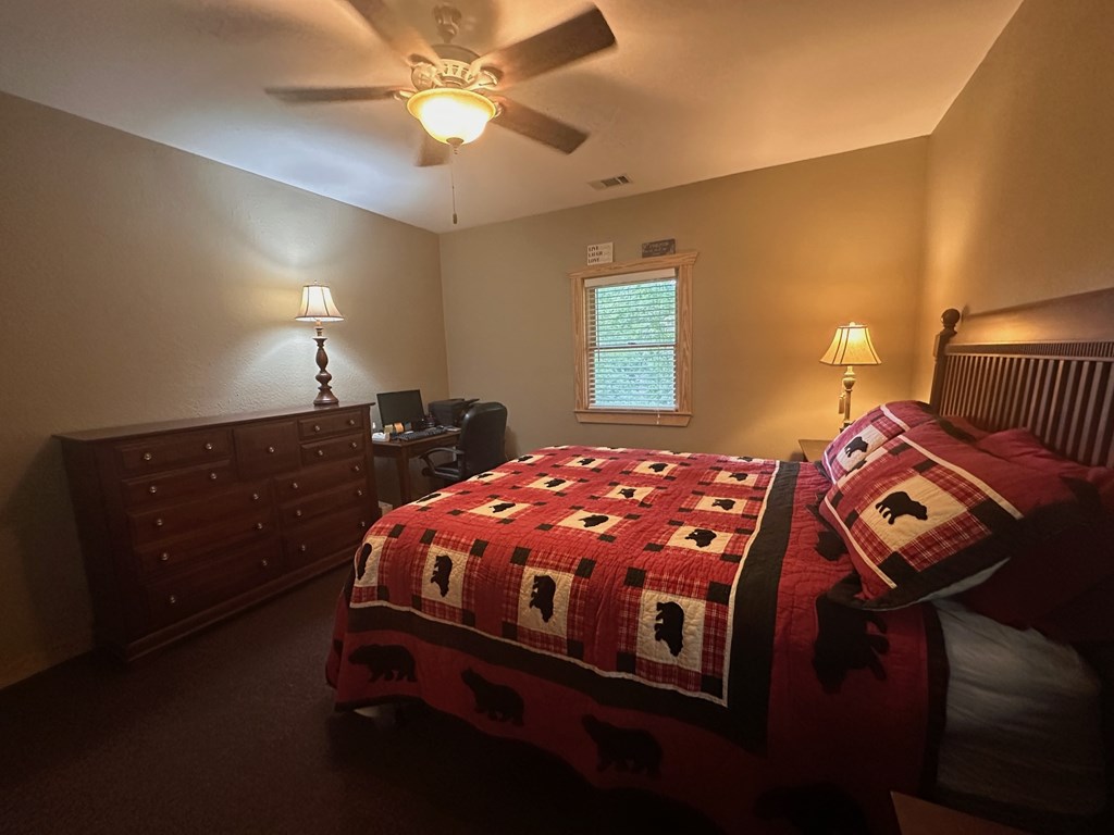 50 Tivoli Court Ellijay, GA 30540 - Photo 10 of 45