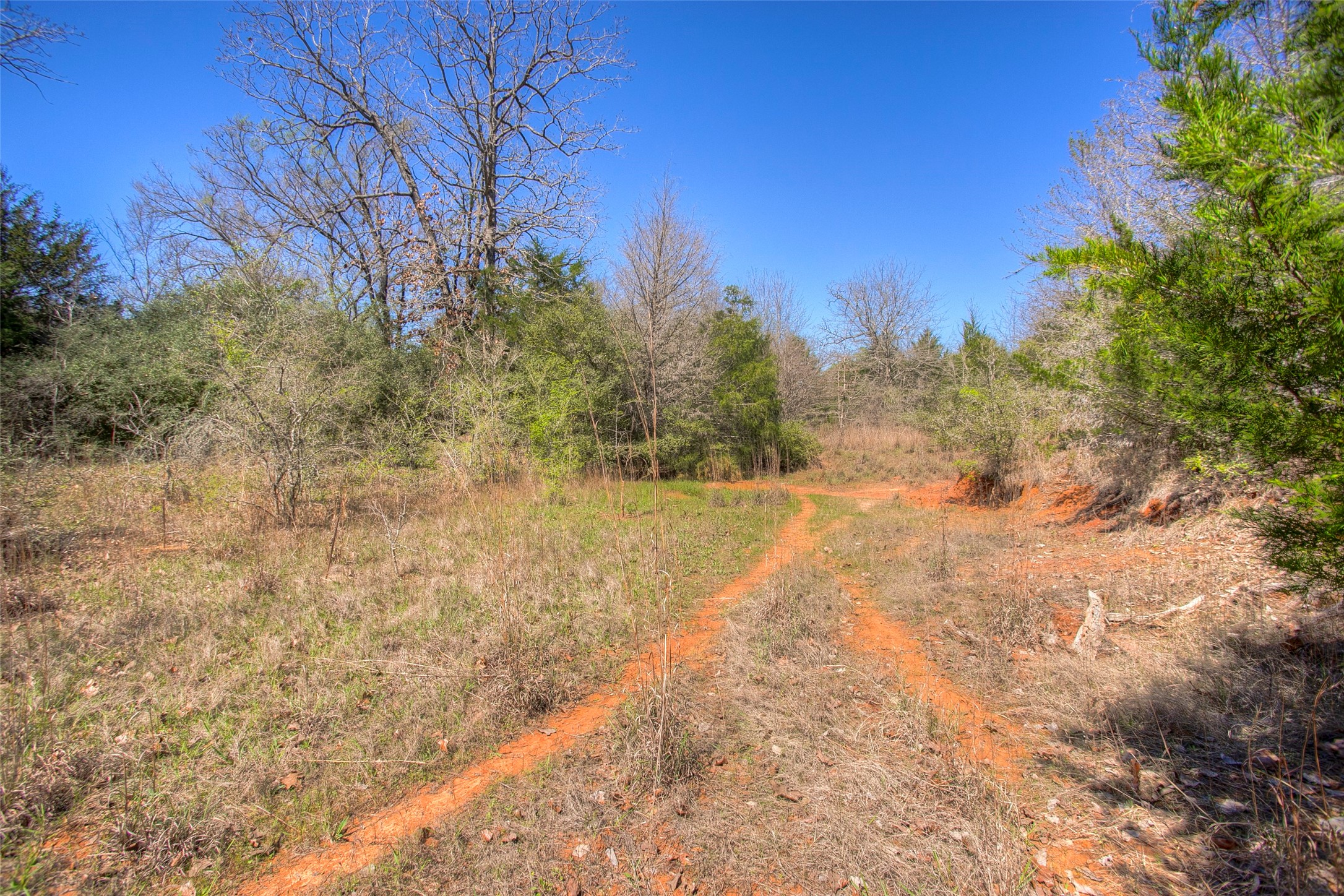 482 County Road 482 Normangee, TX 77871 - Photo 37 of 49