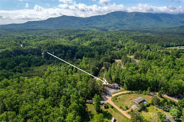 a view of a backyard with plants and a mountain view