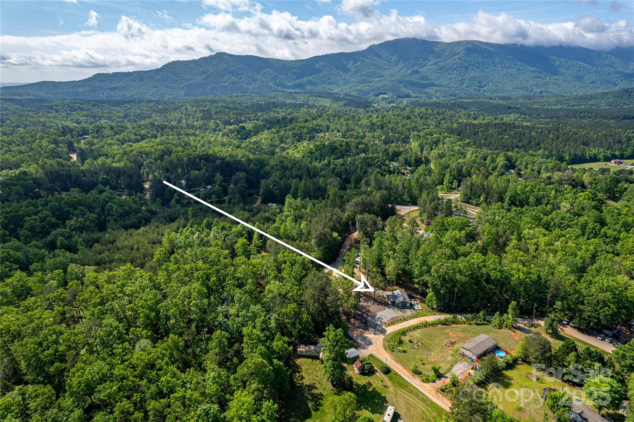 115 Cold Springs Drive Mill Spring, NC 28756 - Photo 31 of 42 a view of a backyard with plants and a mountain view