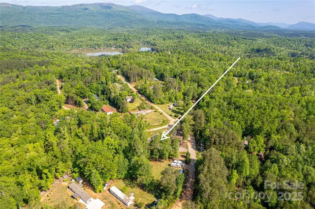 a view of a lush green forest with trees and some houses