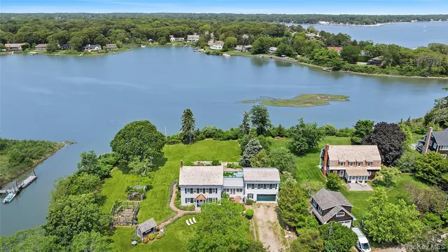 a close up of a flower in a garden