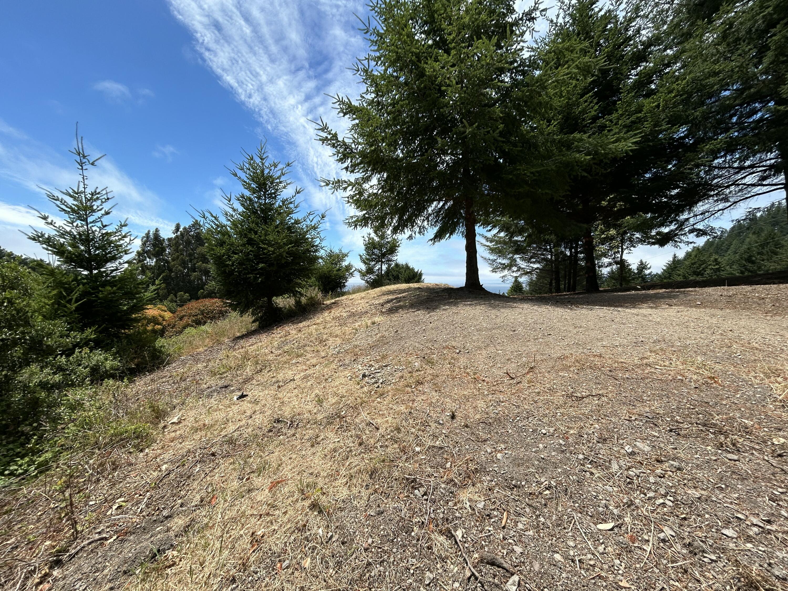 542-554 Ridge Road Shelter Cove, CA 95589 - Photo 7 of 20