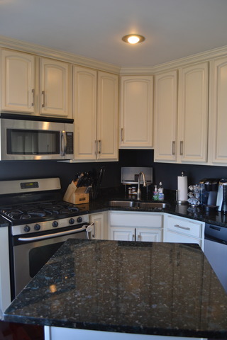 35530 North Wilson Road Ingleside, IL 60041 - Photo 14 of 23 a kitchen with stainless steel appliances granite countertop a stove a sink and a microwave