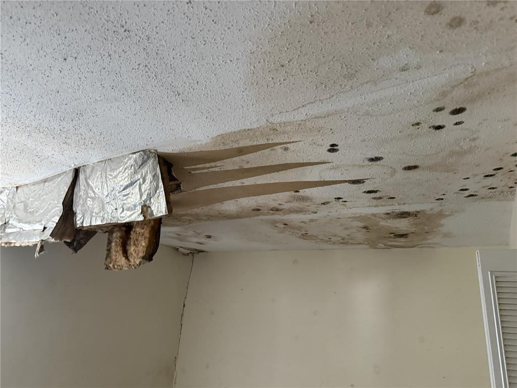 709 Southwest 75th Street, Unit 104 Gainesville, FL 32607 - Photo 14 of 34