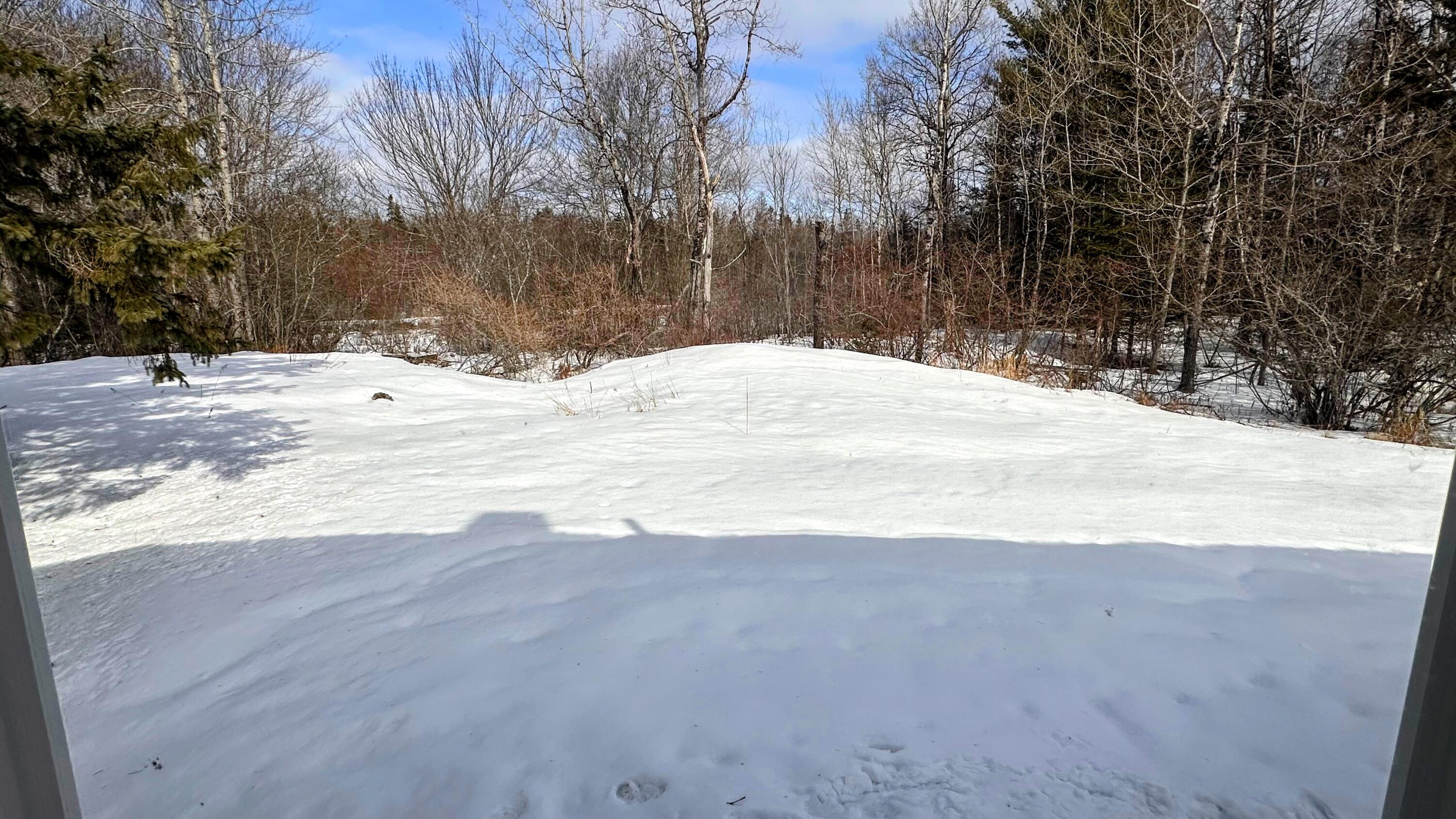 345 Court Street Machias, ME 04654 - Photo 35 of 52 Back Yard