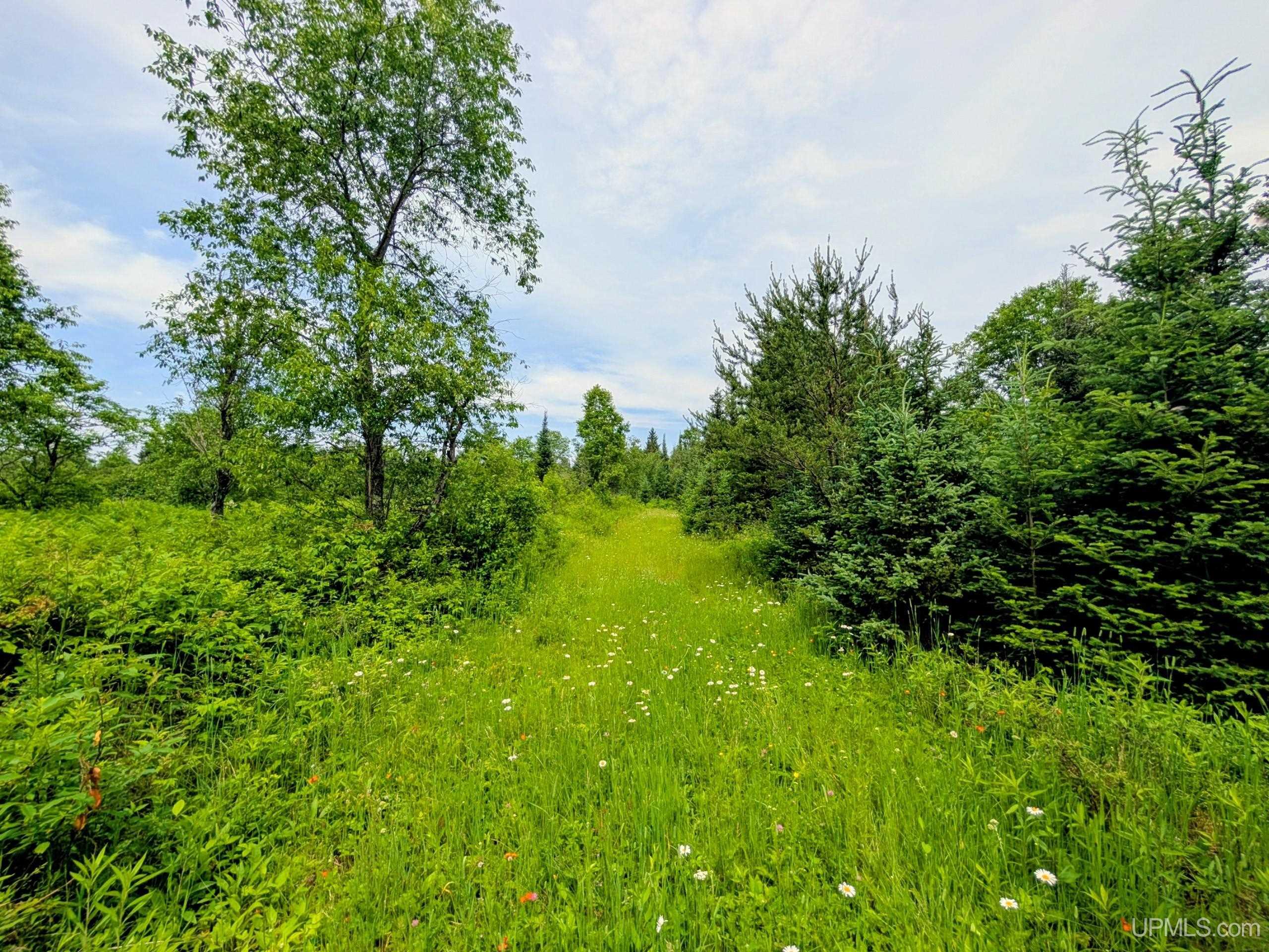 Tbd Pond Road Iron River, MI 49935 - Photo 13 of 26
