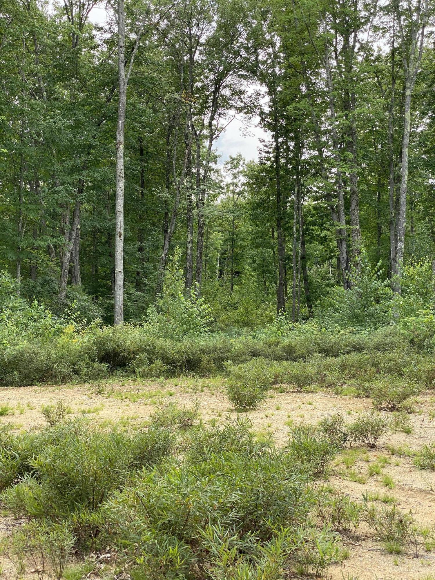 Lot 33 Main Street Springvale, ME 04083 - Photo 5 of 6 IMG_0314
