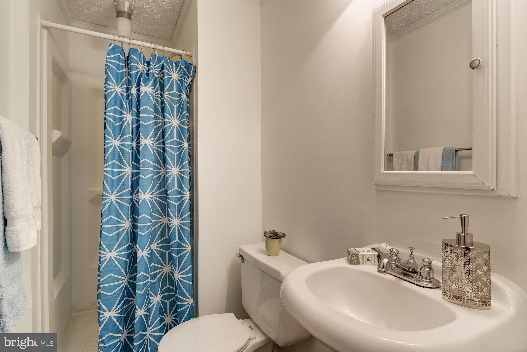 10523 Apple Ridge Road Gaithersburg, MD 20886 - Photo 13 of 26 Bedroom (Master)