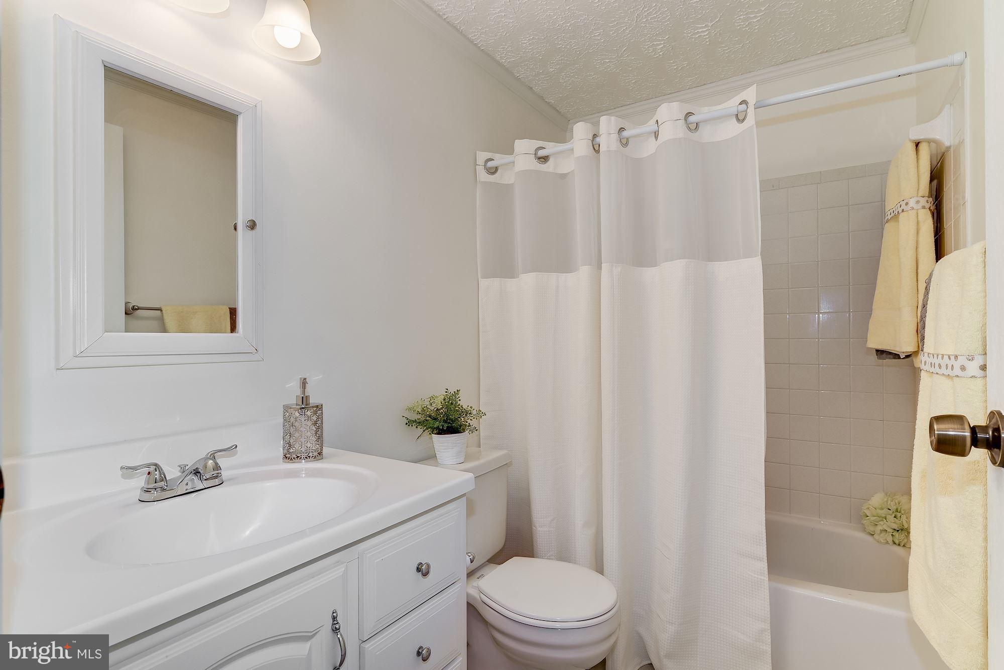 10523 Apple Ridge Road Gaithersburg, MD 20886 - Photo 16 of 26 guest bath