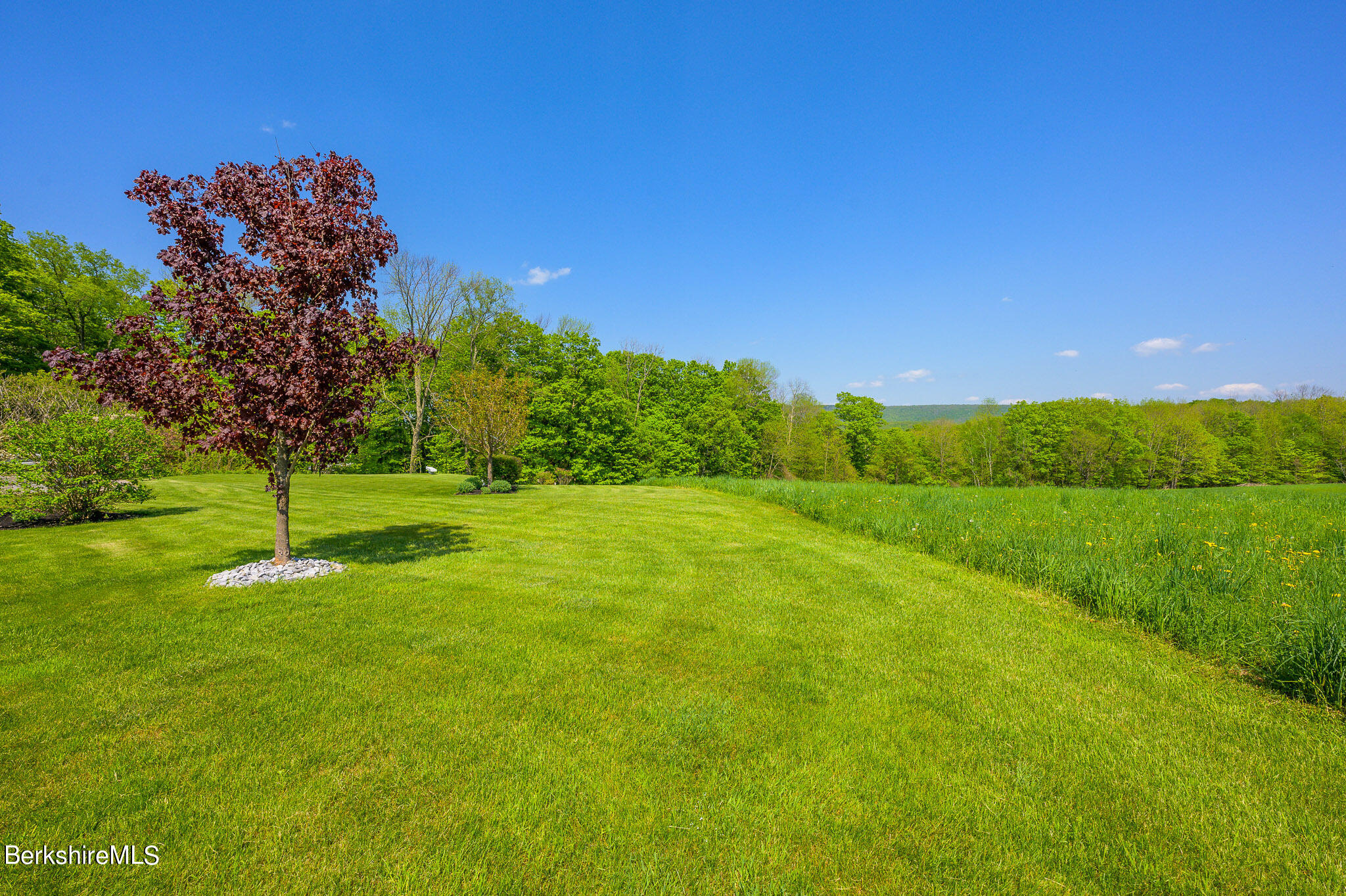 214 Bailey Road Lanesborough, MA 01237 - Photo 2 of 2 BACK YARD, PANORAMIC VIEW