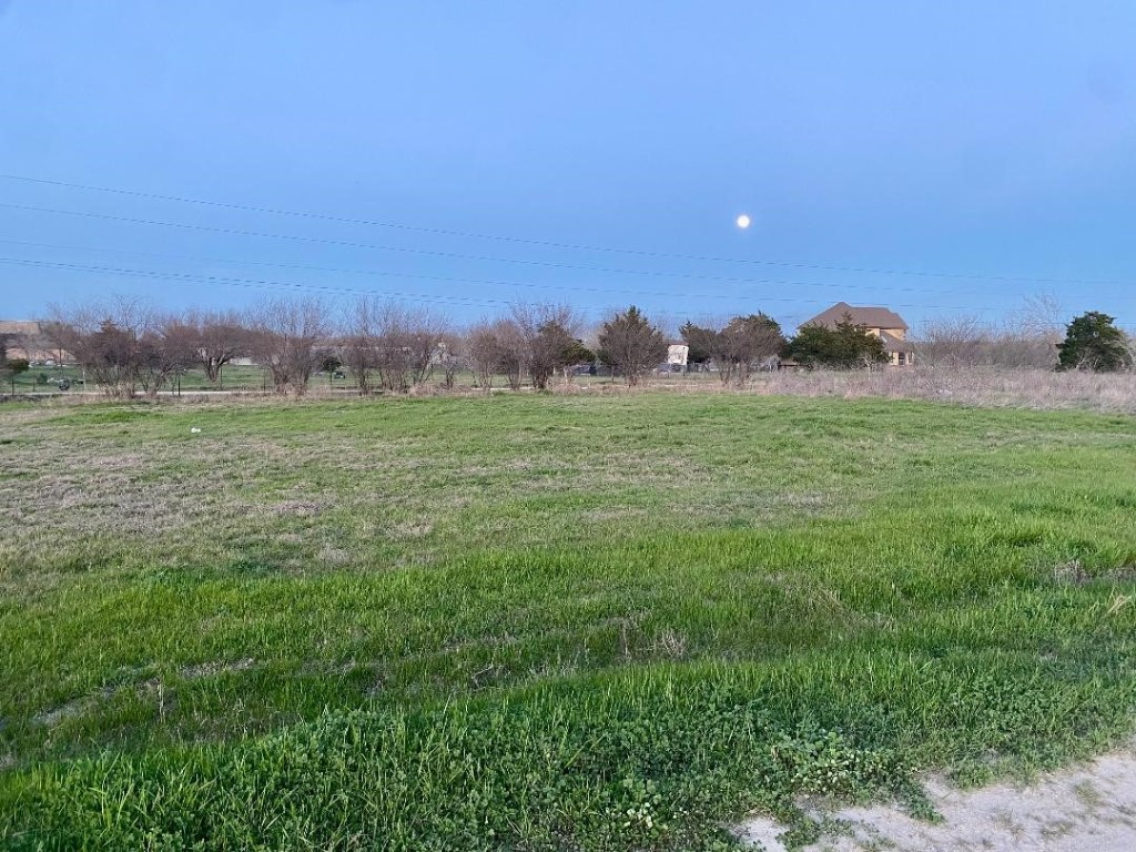 11622 Doyle Overton Road Austin, TX 78719 - Photo 2 of 4 a view of a lush green outdoor space with a swimming pool