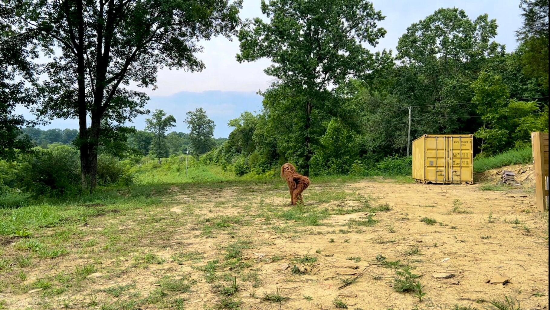 1030 Old Owenton-Georgetown Road Owenton, KY 40359 - Photo 30 of 37 20230811144920164103000000-o