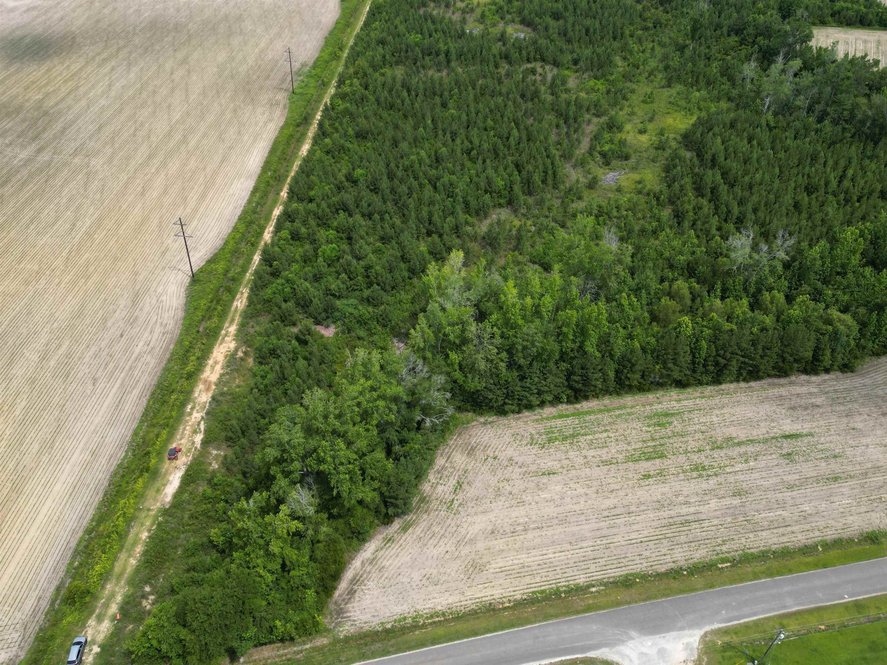 Tbd Church Road Green Sea, SC 29545 - Photo 2 of 19