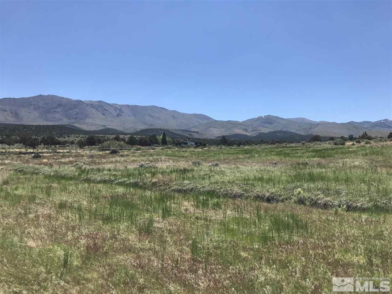 3000 Pinenut Road Gardnerville, NV 89410 - Photo 16 of 20 a view of a town with mountains in the background