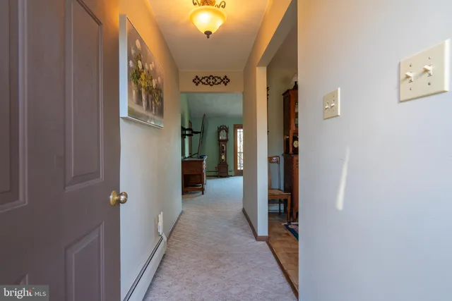 a view of a yard with trees