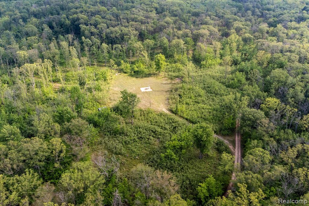 0 Oak Ridge Circle Road Mio, MI 48647 - Photo 10 of 13