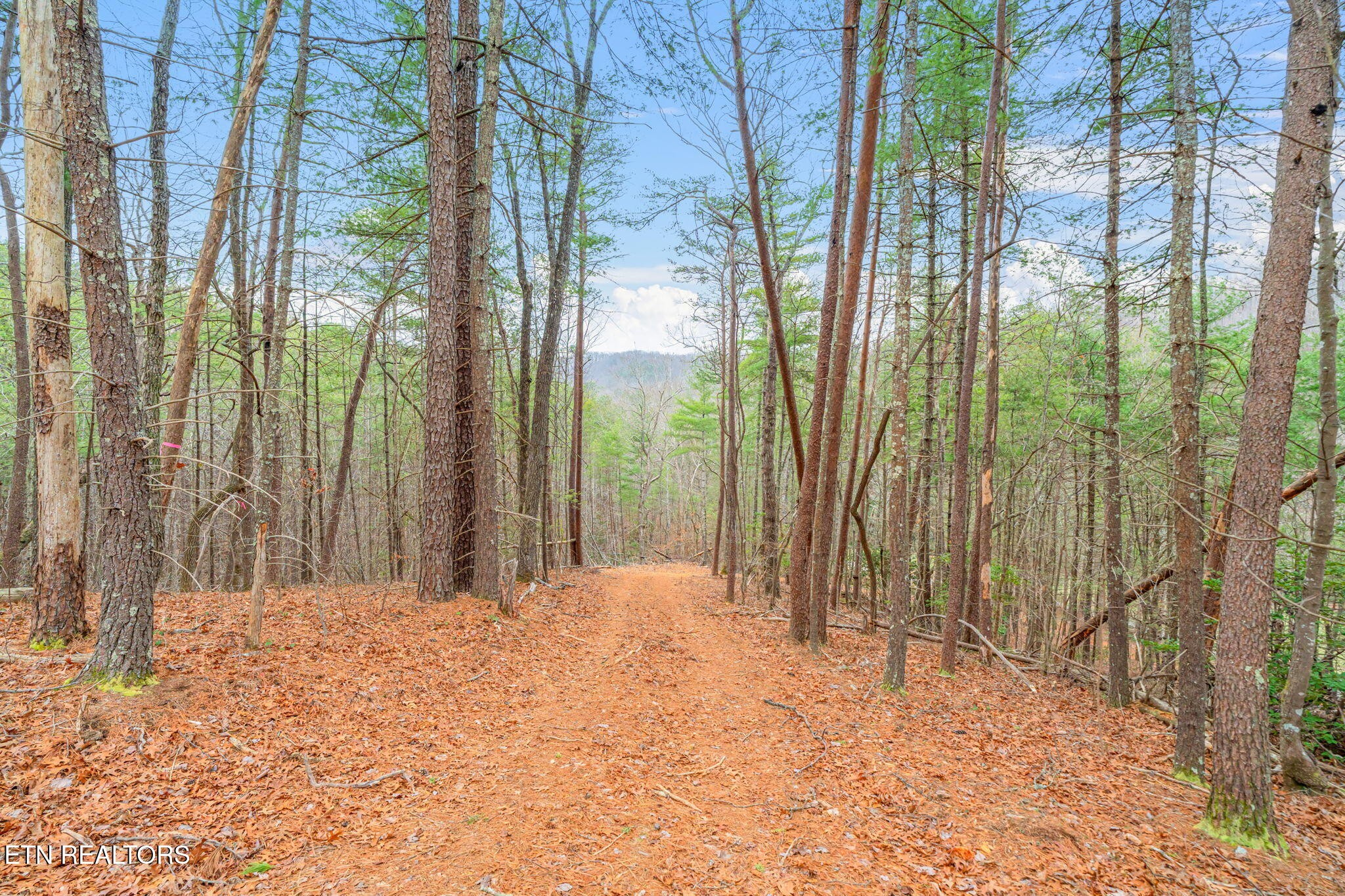 0 Rafter Road Tellico Plains, TN 37385 - Photo 1 of 15 Gallery Image 1