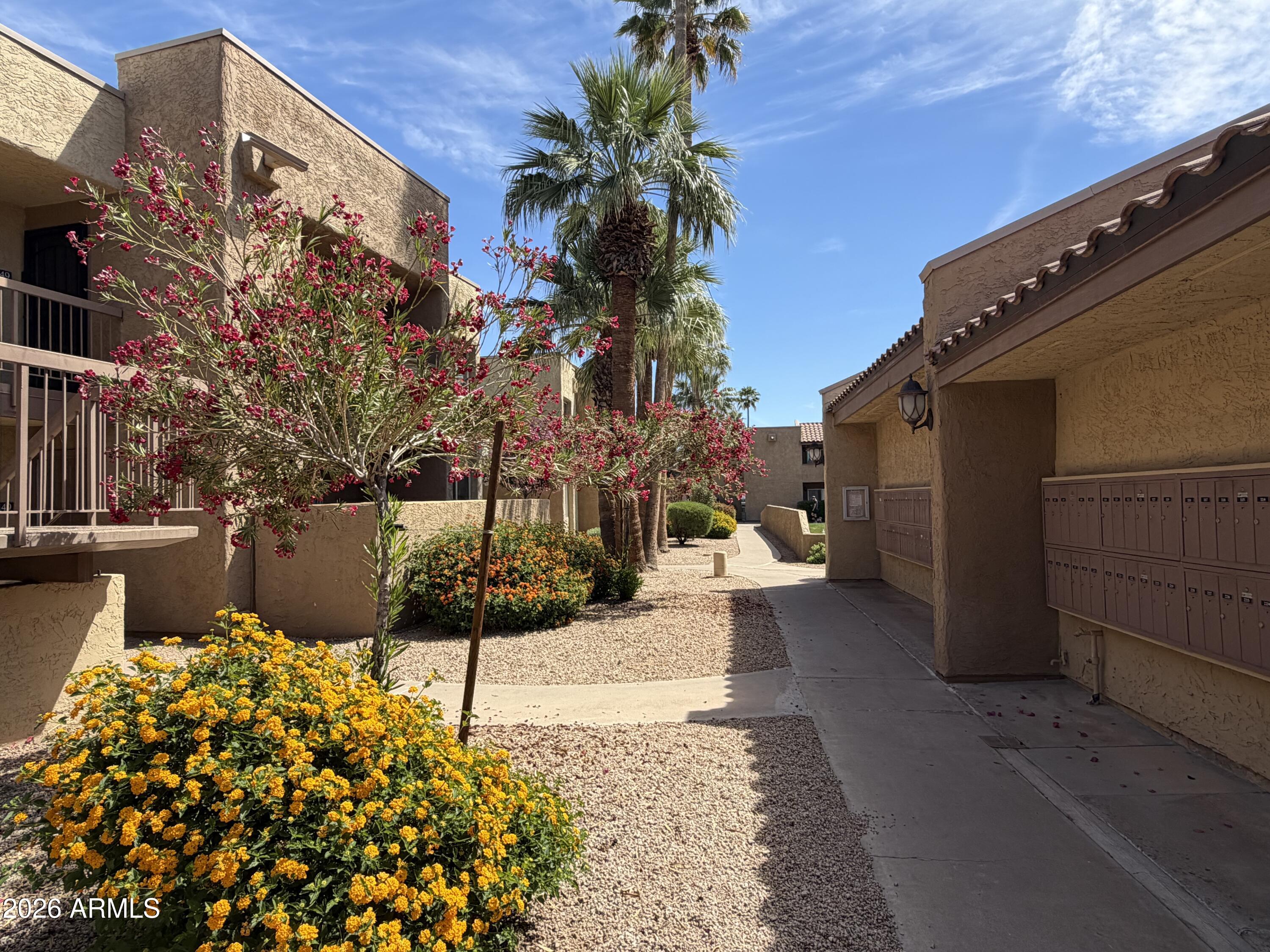 5877 North Granite Reef Road, Unit 1151 Scottsdale, AZ 85250 - Photo 5 of 25 IMG_2175
