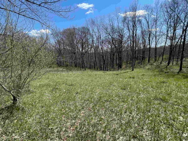 $5,700 | Lot 362 Matterhorn La, La Valle, WI 53941