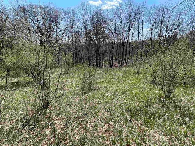 $5,700 | Lot 362 Matterhorn La, La Valle, WI 53941