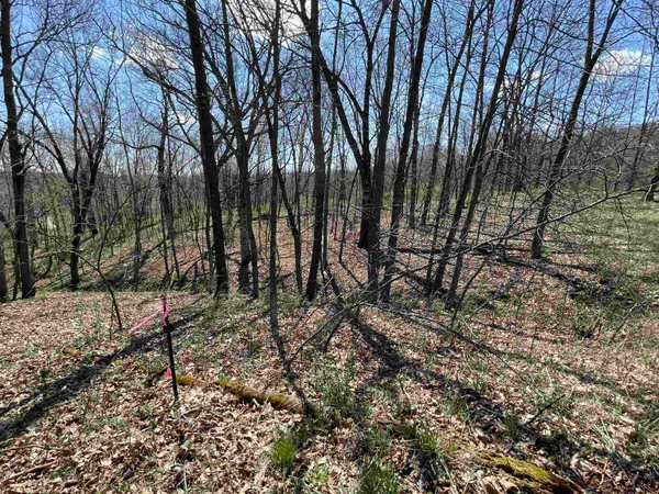 $5,700 | Lot 362 Matterhorn La, La Valle, WI 53941