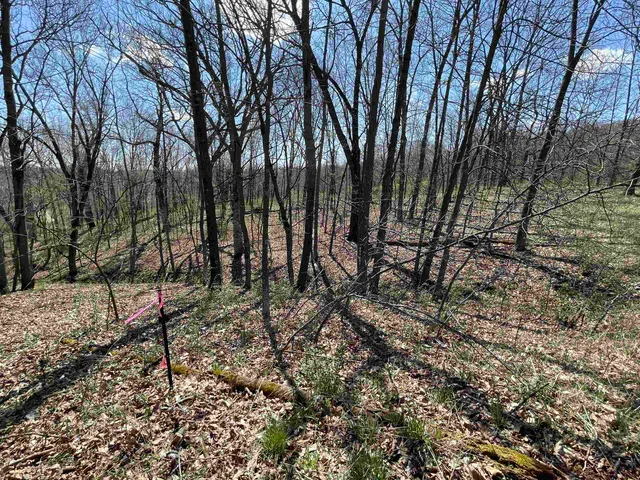 $5,700 | Lot 362 Matterhorn La, La Valle, WI 53941
