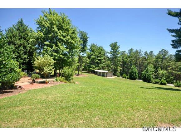 1001 Golden Road Tryon, NC 28782 - Photo 18 of 18 a view of a yard with a tree