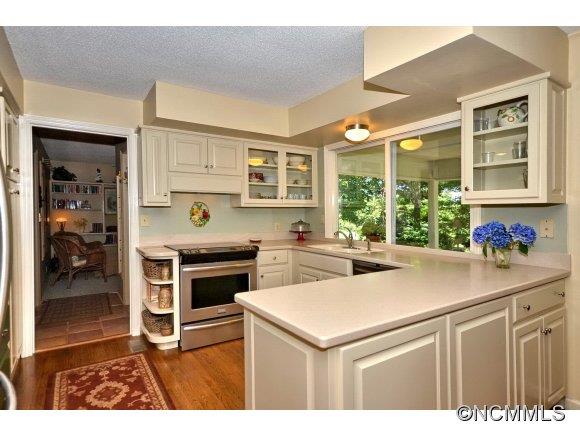 1001 Golden Road Tryon, NC 28782 - Photo 5 of 18 a kitchen with a stove a sink and a microwave