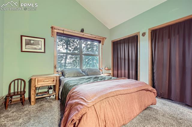 83 Aspen Village Road Divide, CO 80814 - Photo 14 of 32 Gallery Image 14