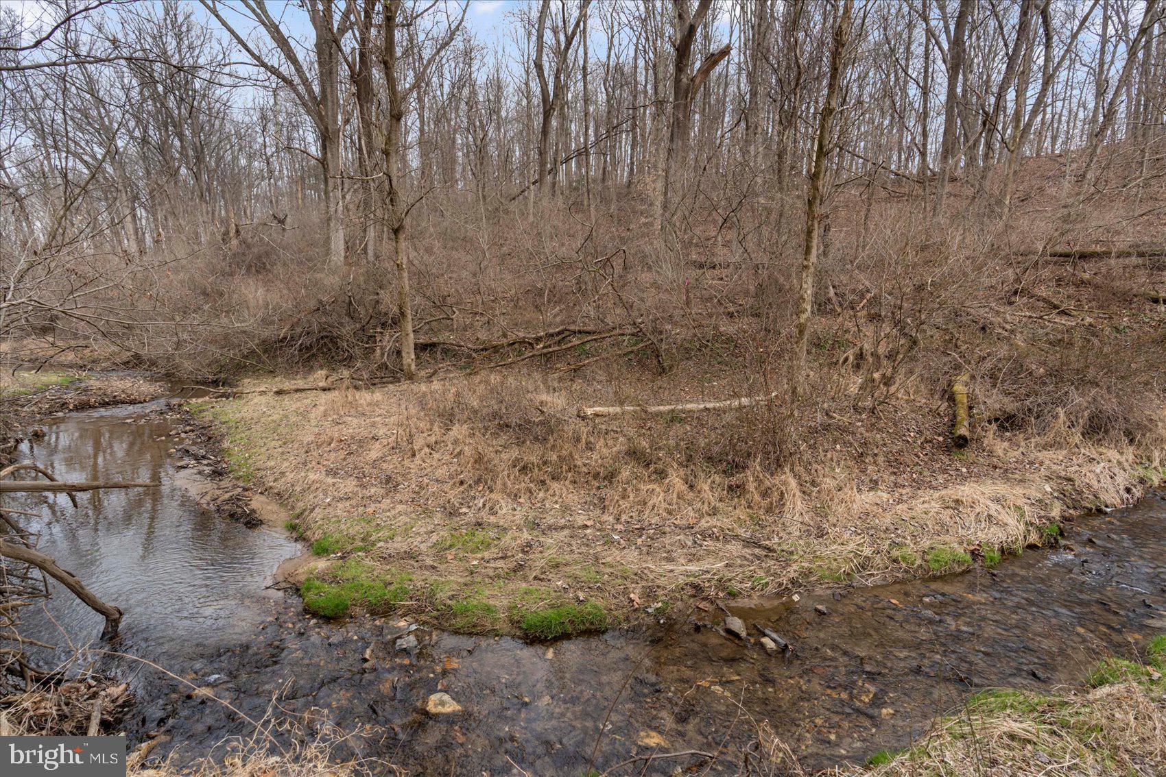 14411 Falls Road Cockeysville, MD 21030 - Photo 12 of 89 Private retreat along Stream