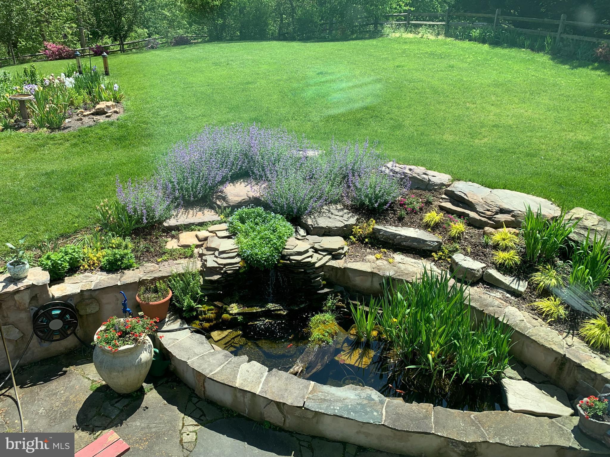14411 Falls Road Cockeysville, MD 21030 - Photo 19 of 89 Goldfish Pond in Bloom