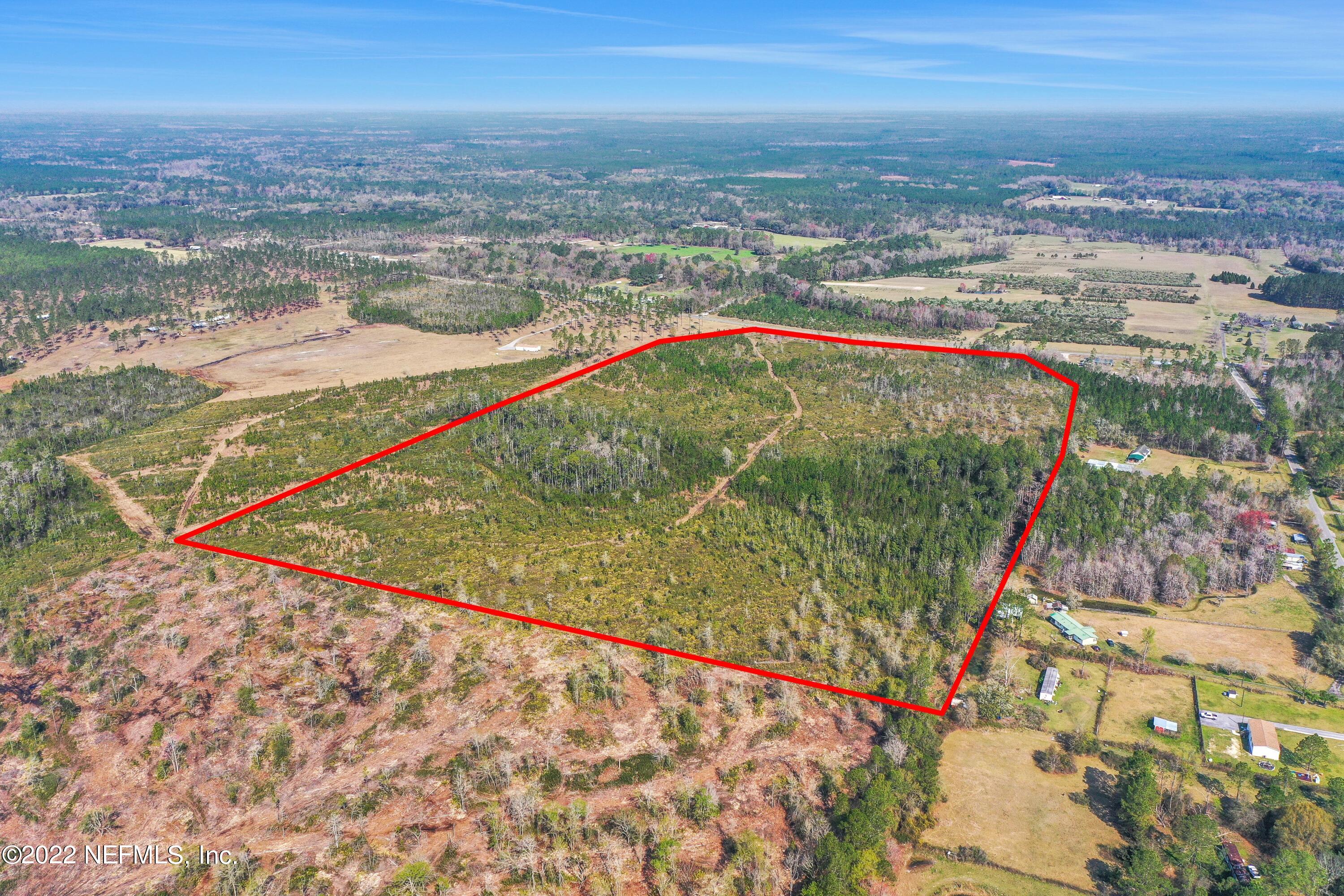 0 Oc Horne Road Sanderson, FL 32087 - Photo 14 of 19 OC8