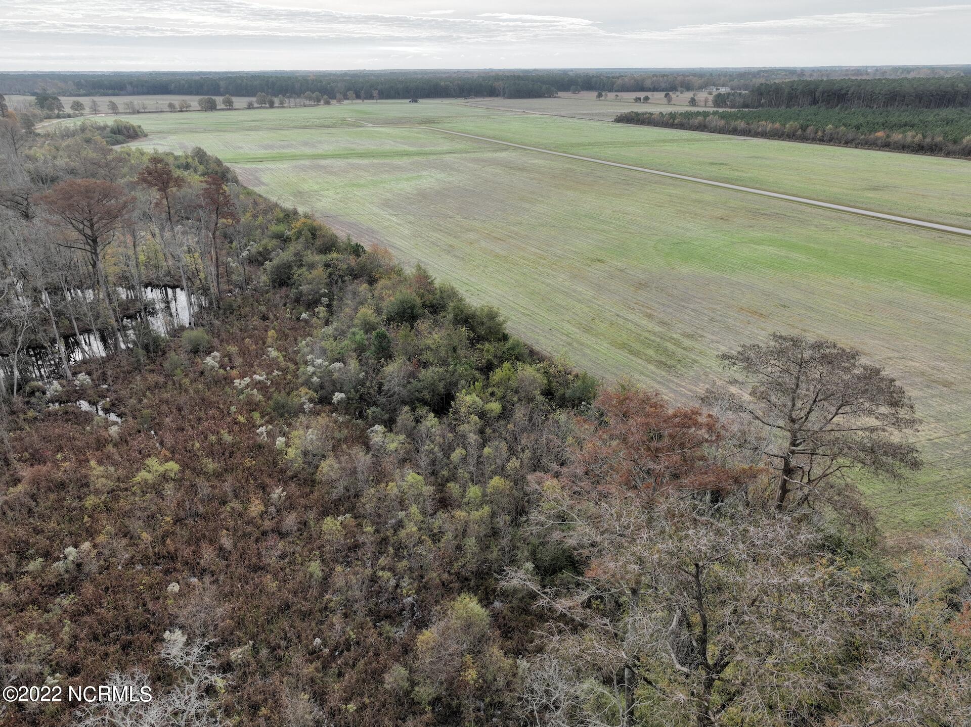 234 Burnt Mill Road Edenton, NC 27932 - Photo 9 of 14 595290B7-D79C-4754-A392-49C094BB2AA2