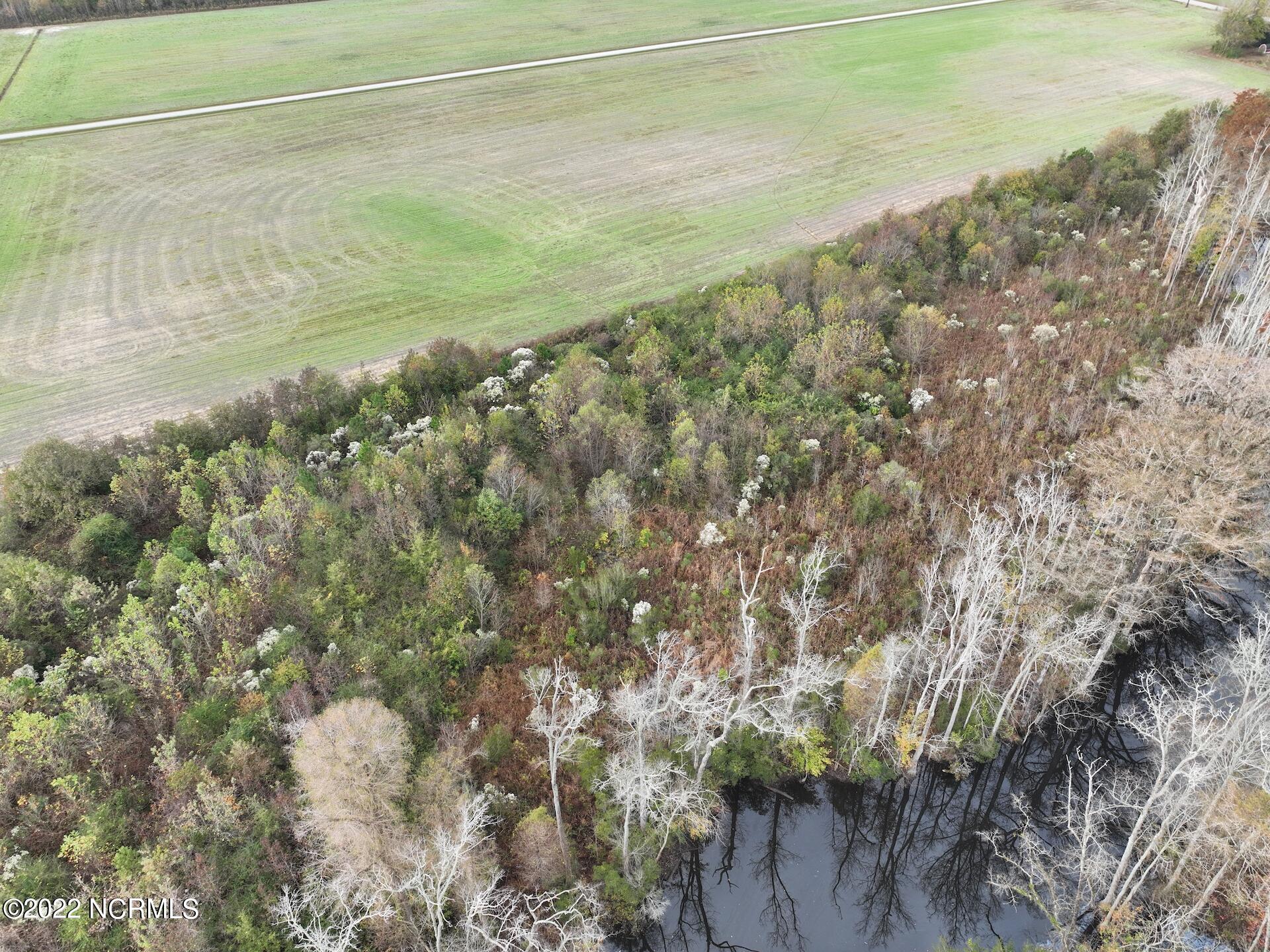 234 Burnt Mill Road Edenton, NC 27932 - Photo 10 of 14 935824B8-D580-4E5E-BEF5-3947615E404F