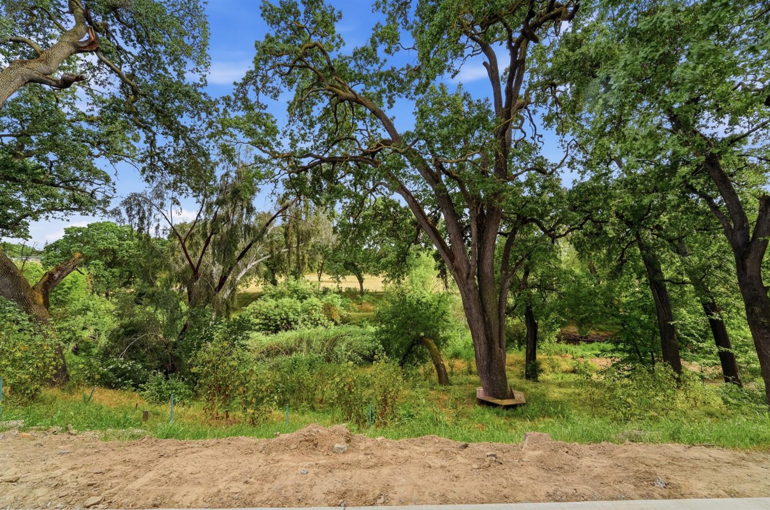 2124 Scenic Drive Modesto, CA 95355 - Photo 66 of 67