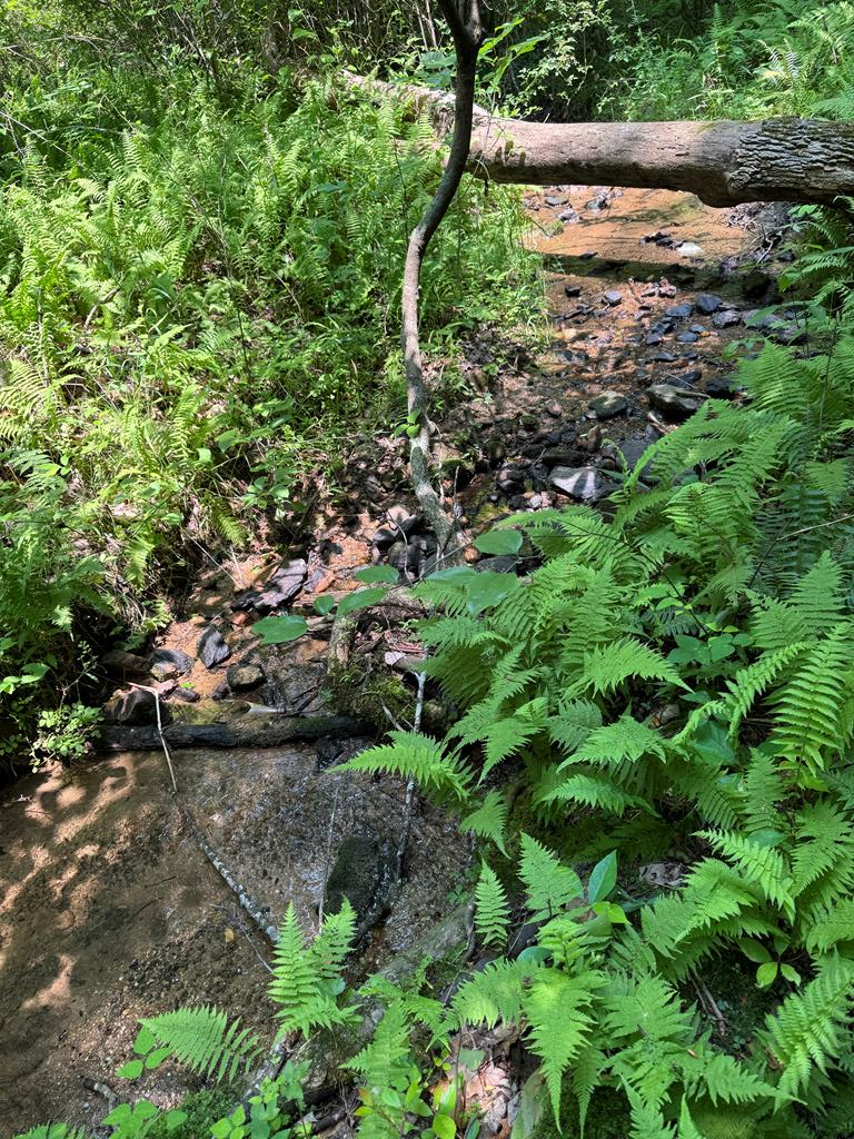 0 Old Mill Road Patrick Springs, VA 24133 - Photo 15 of 16 Gallery Image 15