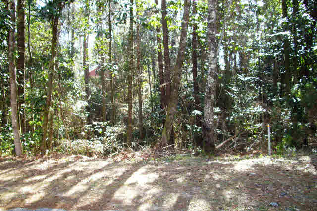 384 Ridgewood Drive Daphne, AL 36526 - Photo 1 of 1