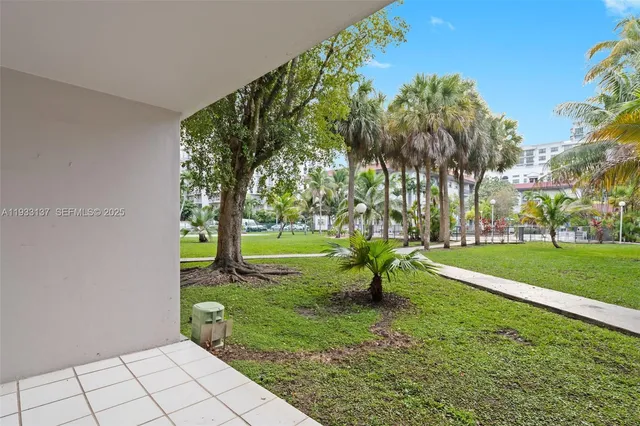 a view of a park with large trees