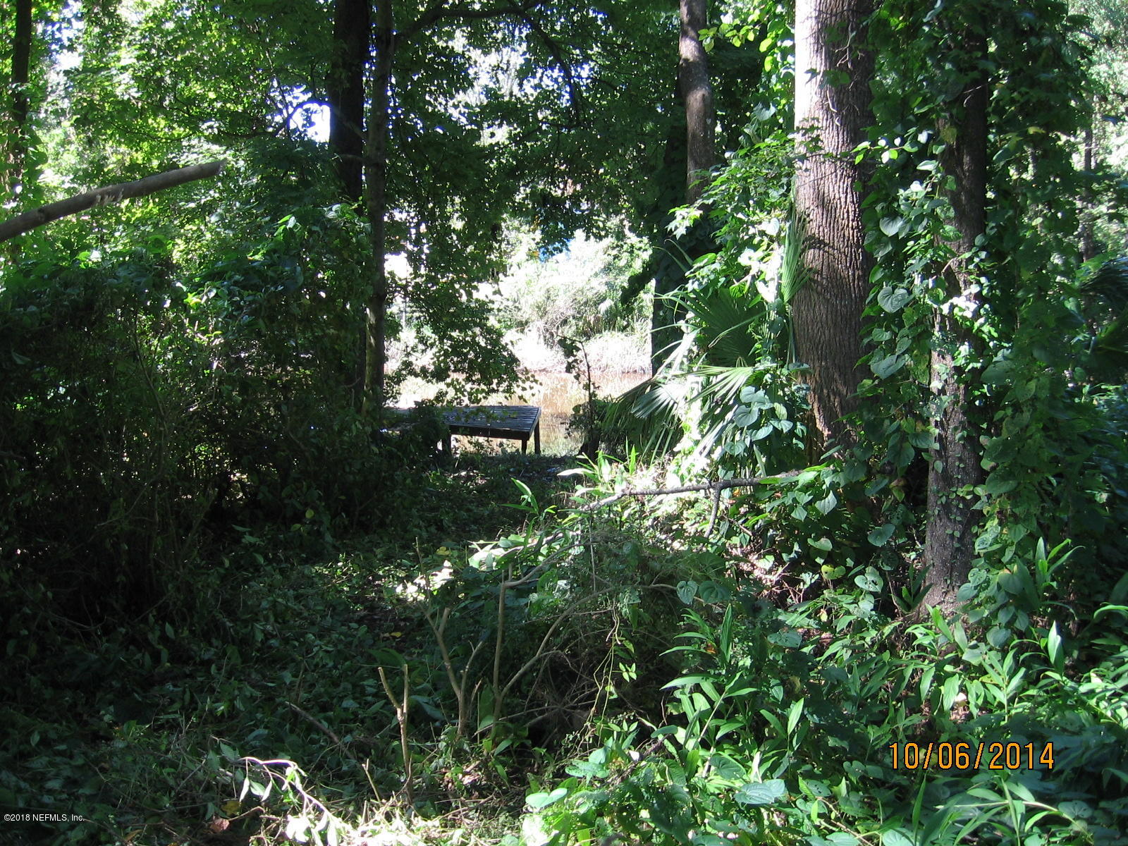 10614 Rutgers Road Jacksonville, FL 32218 - Photo 2 of 5 a view of a tree in a yard