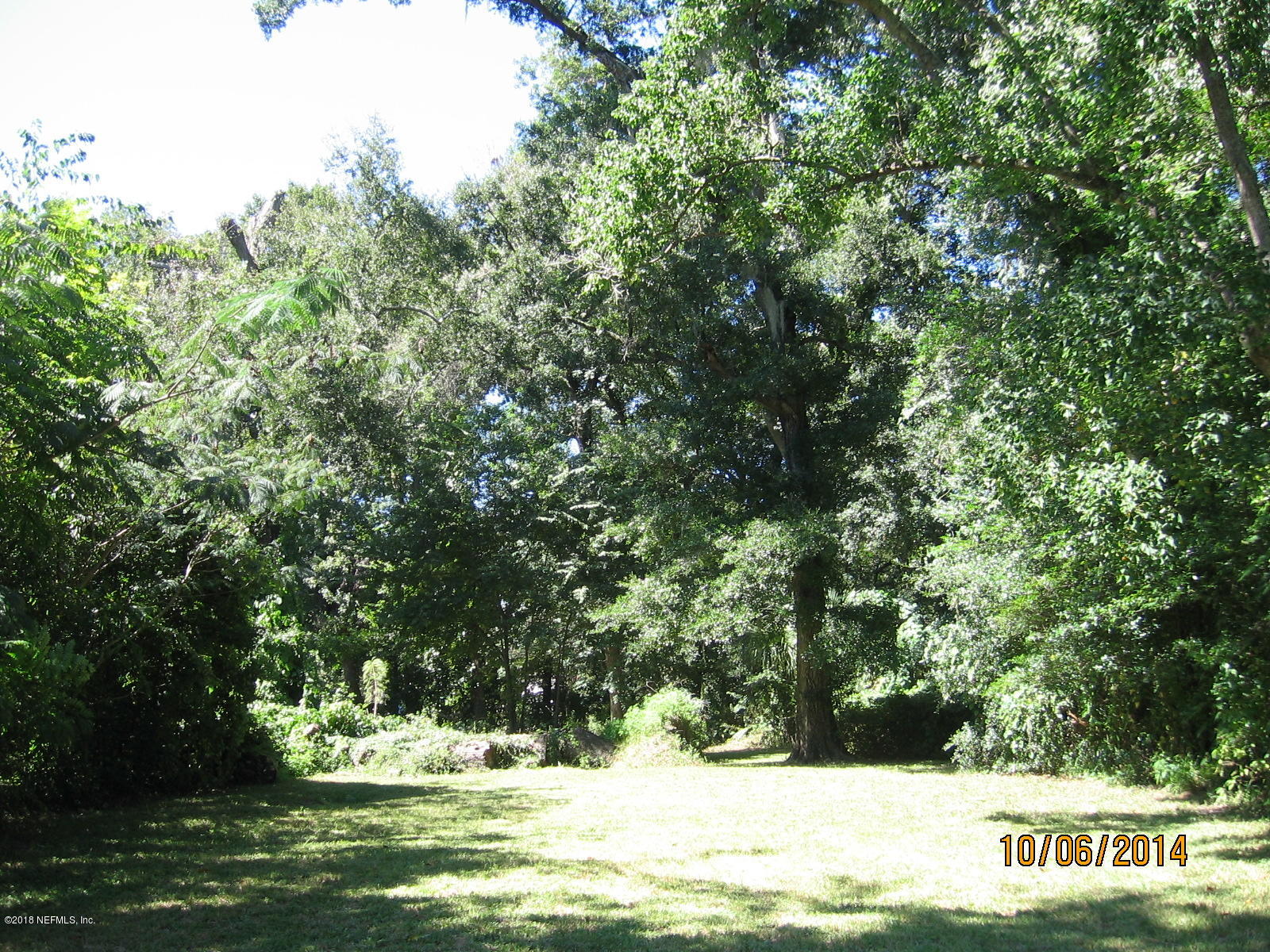 10614 Rutgers Road Jacksonville, FL 32218 - Photo 5 of 5 a view of a tree with a yard