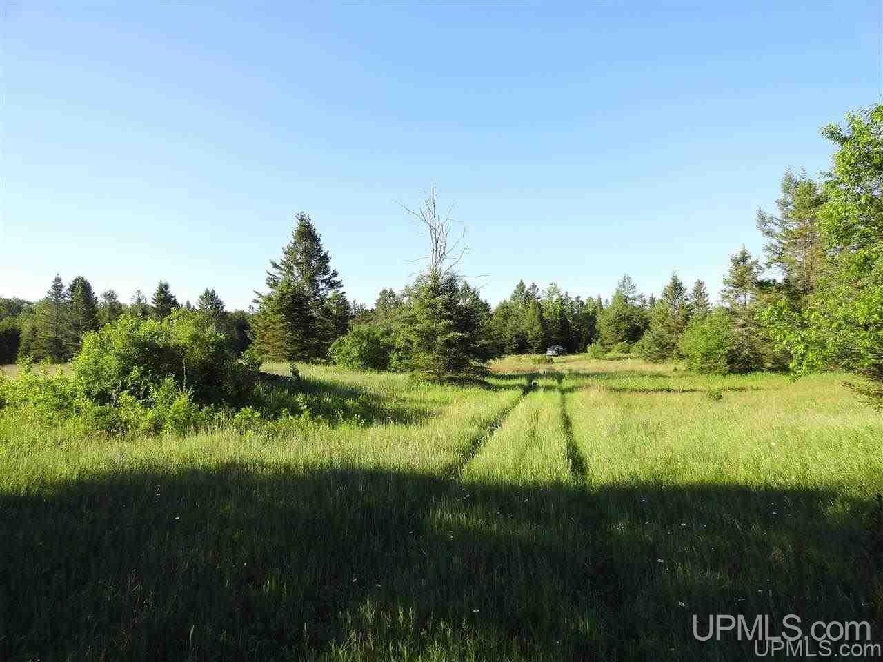 11918 T Road Rapid River, MI 49878 - Photo 39 of 49 Gallery Image 39